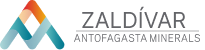 Logo ZALDIVAR